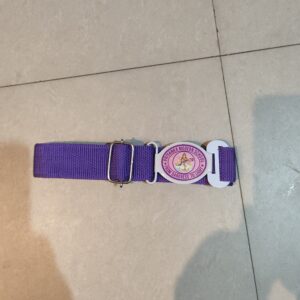 Belt