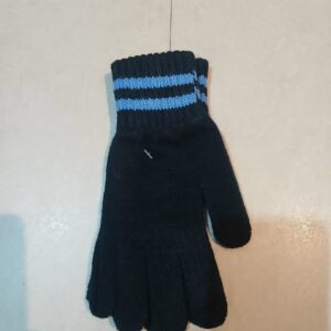 Blue Gloves